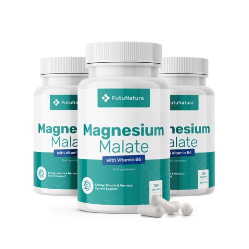 3x Malato de magnesio 2000 mg, en total 540 cápsulas