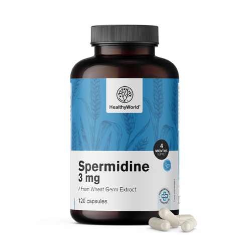 Espermidina 3 mg - de extracto de germen de trigo