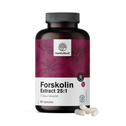 Forskolina - de extracto de cóleo 20 mg