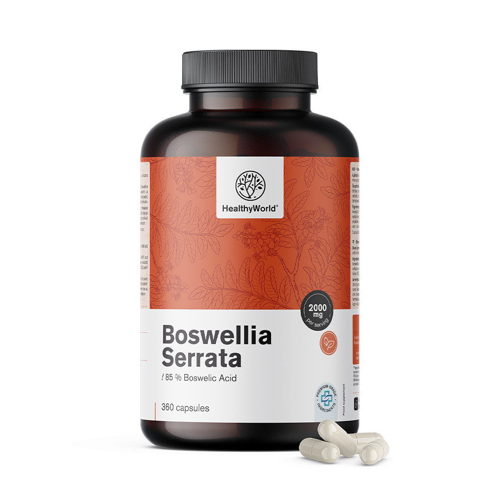 Boswellia (Boswellia Serrata) – 85% de ácido boswélico