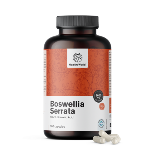 Boswellia (Boswellia Serrata) – 85% de ácido boswélico, 360 cápsulas