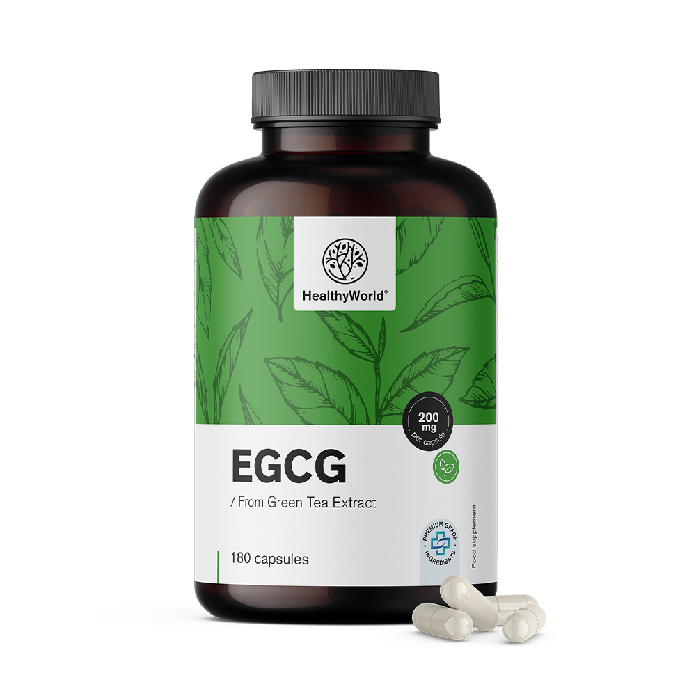 EGCG – del extracto de té verde