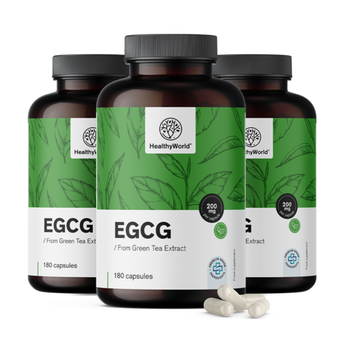3x EGCG – del extracto de té verde, en total 540 cápsulas