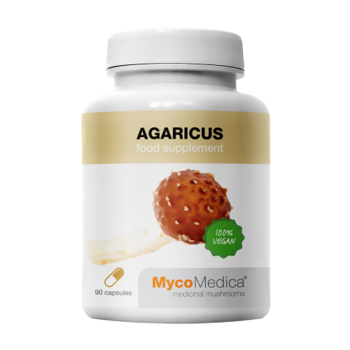 Seta Agaricus.