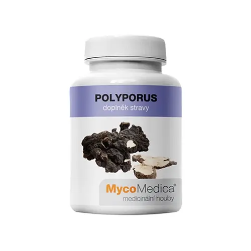 Polyporus - hongos.