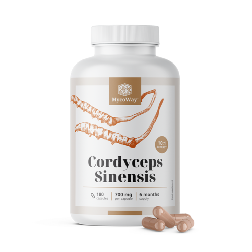 Cordyceps sinensis 1400 mg - extracto 10:1, 180 cápsulas
