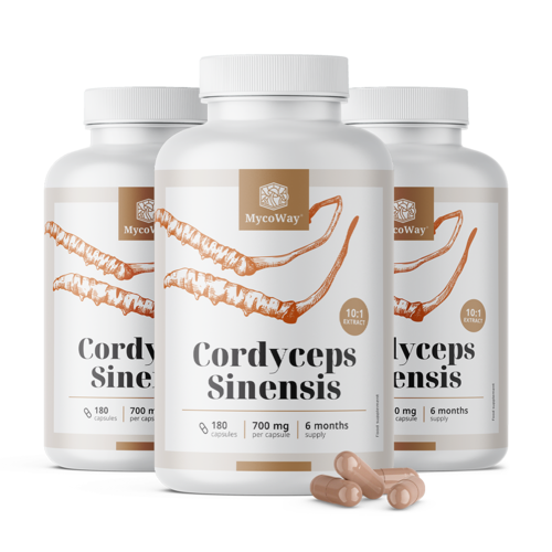 3x Cordyceps sinensis 1400 mg - extracto 10:1, en total 540 cápsulas