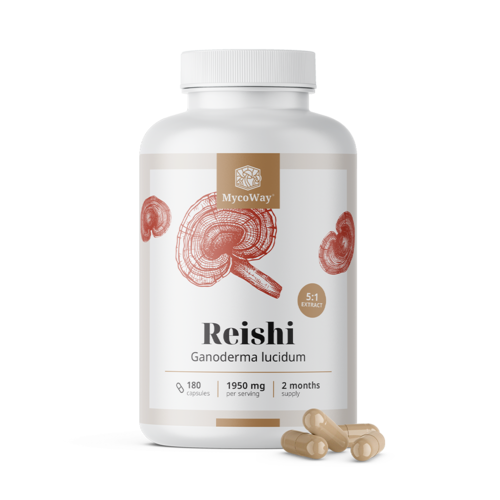Reishi 1950 mg - extracto 5:1, 180 cápsulas