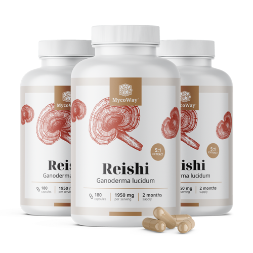3x Reishi 1950 mg - extracto 5:1, en total 540 cápsulas