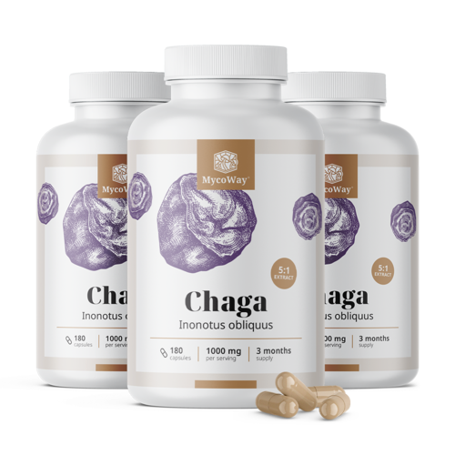 3x Chaga 1000 mg – extracto 5:1, en total 540 cápsulas