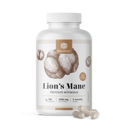 Melena de león 1000 mg - extracto 5:1, 180 cápsulas