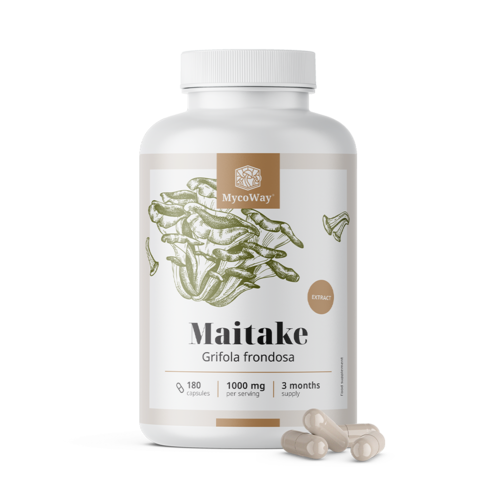 Maitake 1000 mg – extracto, 180 cápsulas