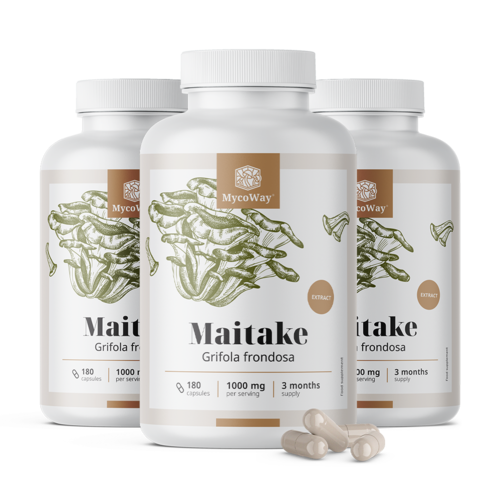 3x Maitake 1000 mg – extracto, en total 540 cápsulas