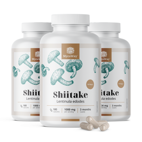 3x Shiitake 1000 mg - extracto, en total 540 cápsulas