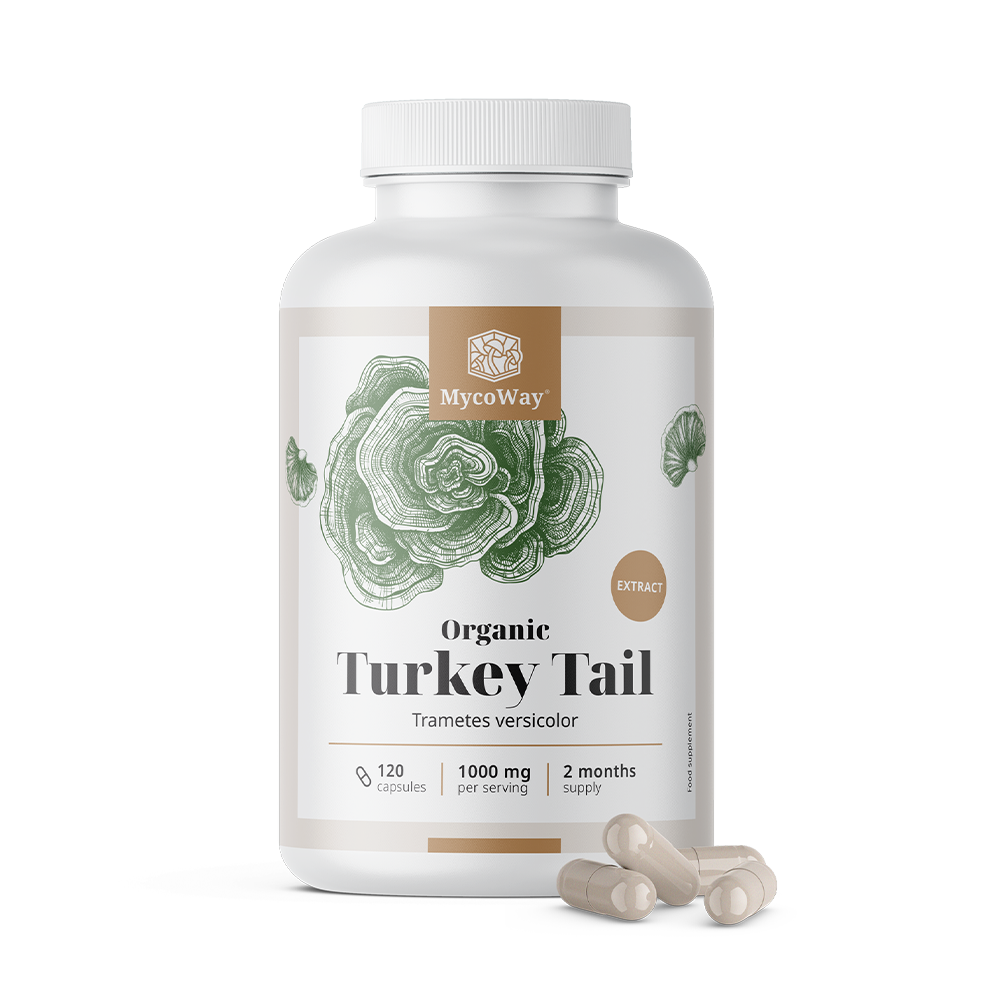 BIO Turkey Tail 1000 mg - extract.