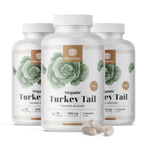 3x BIO Turkey Tail 1000 mg - extracto, en total 360 cápsulas