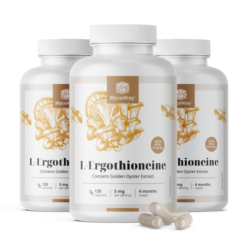 3x L-Ergotioneína 5 mg, en total 360 cápsulas