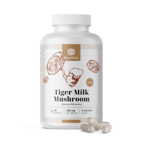Tiger Milk 300 mg - extracto del hongo Lignosus rhinocerus, 90 cápsulas