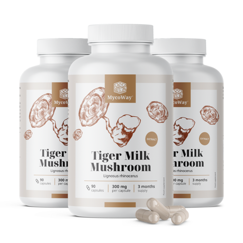 3x Tiger Milk 300 mg - extracto del hongo Lignosus rhinocerus, en total 270 cápsulas