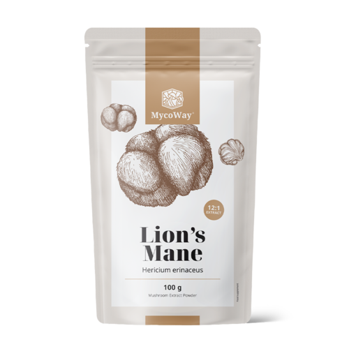 Melena de león - extracto 12:1, 100 g