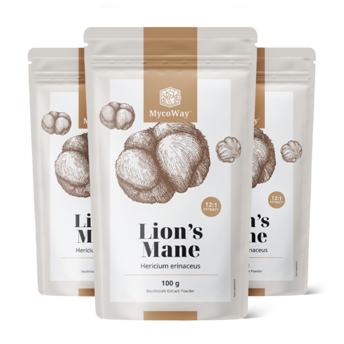 3x Melena de león - extracto 12:1, en total 300 g