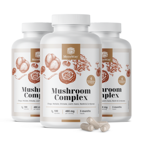 3x Complejo de setas, en total 540 cápsulas