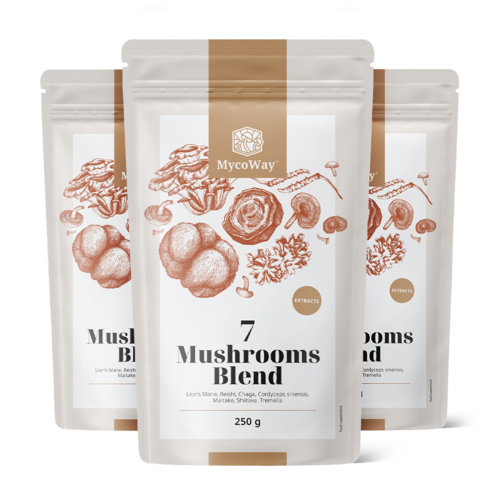 3x Mezcla de extractos de siete setas en polvo, en total 750 g