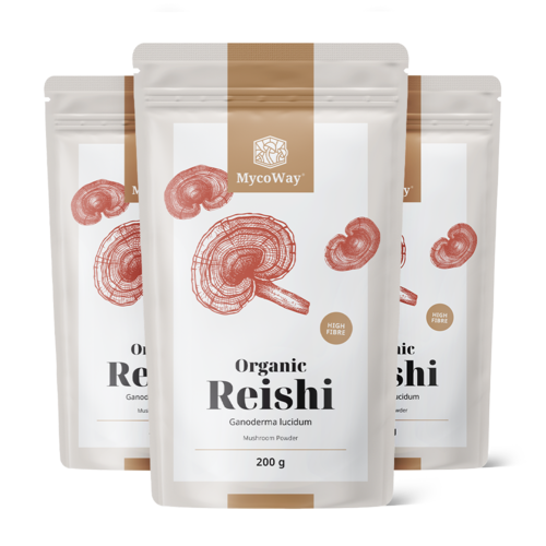3x BIO Reishi en polvo, en total 600 g