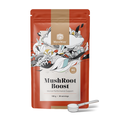 MushRoot Boost - bebida para mejorar el rendimiento mental, 100 g