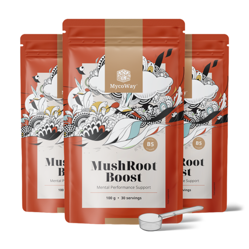 3x MushRoot Boost - bebida para mejorar el rendimiento mental, en total 300 g