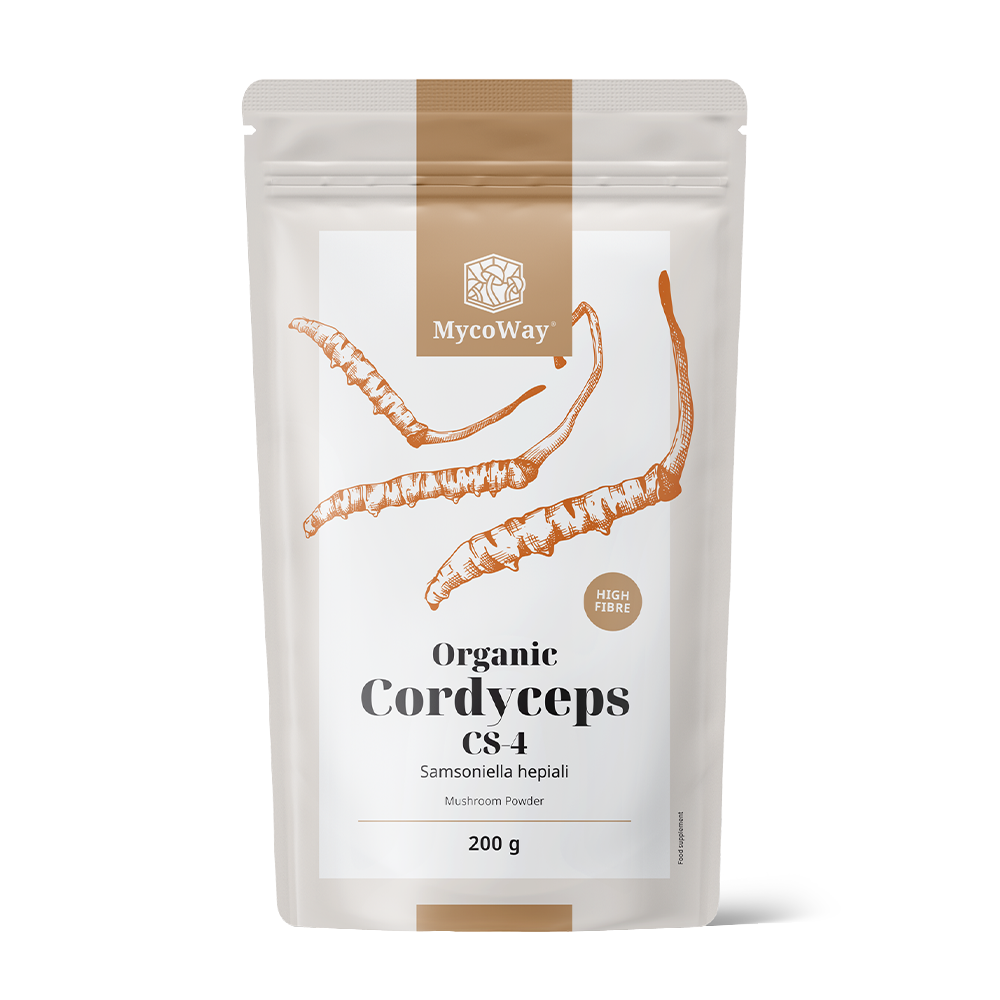 BIO Cordyceps sinensis en polvo