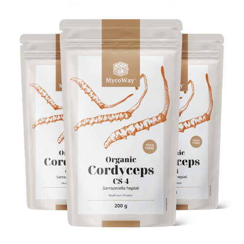 3x BIO Cordyceps CS-4 en polvo, en total 600 g