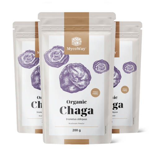 3x BIO Chaga en polvo, en total 600 g
