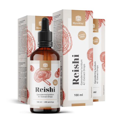 3x Reishi – extracto en gotas, en total 300 ml