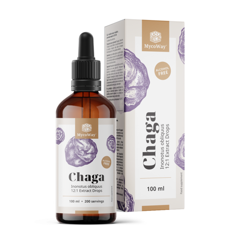 Chaga – extracto en gotas, 100 ml