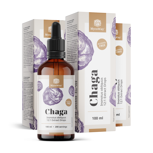3x Chaga – extracto en gotas, en total 300 ml