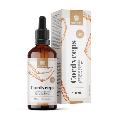 Cordyceps – extracto en gotas, 100 ml