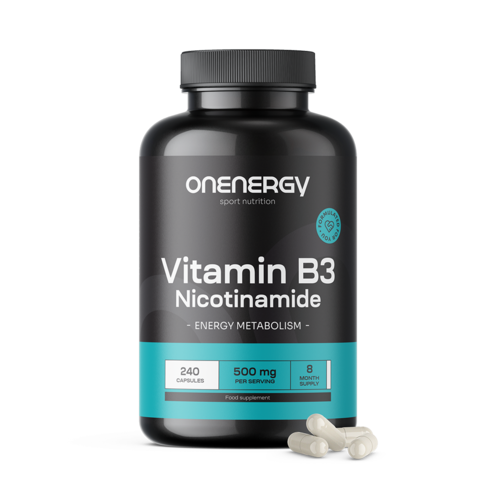Vitamina B3 500 mg - nicotinamida, 240 cápsulas