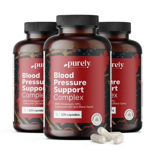 3x Blood Pressure Support Complex – complejo para regular la tensión arterial, en total 360 cápsulas